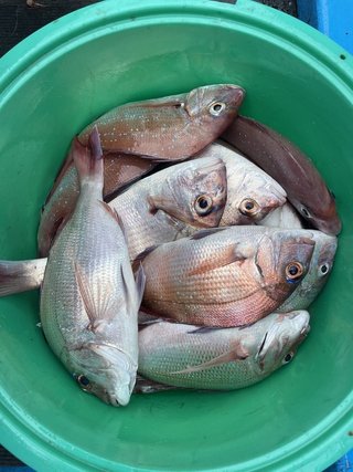 釣果
