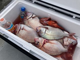 釣果