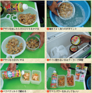 しのチェック02の写真