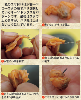 しのチェック03