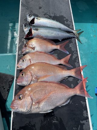 釣果