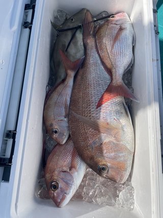 釣果