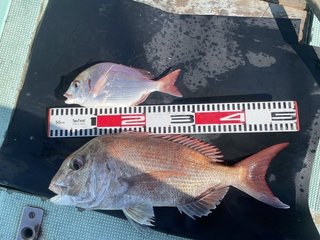 釣果