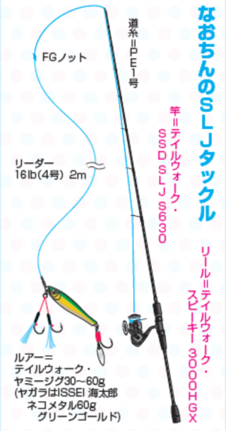 なおちんのSLJタックル