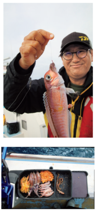 ホタルイカがいいかも！