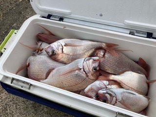 釣果