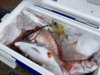 釣果