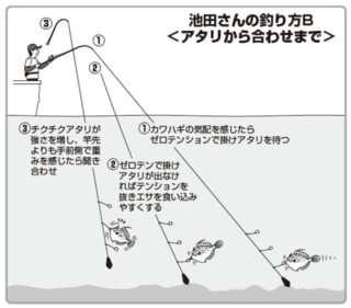 池田さんの釣り方B（アタリから合わせまで）
