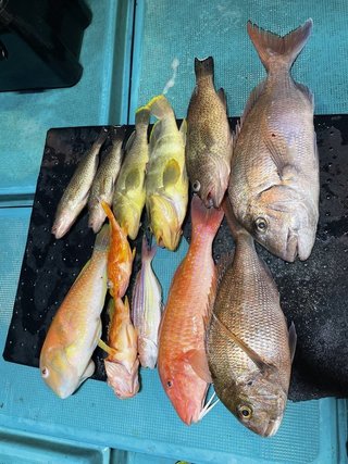 釣果