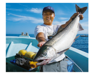 北海道網走沖のアキアジ