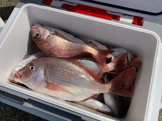 釣果