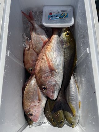 釣果