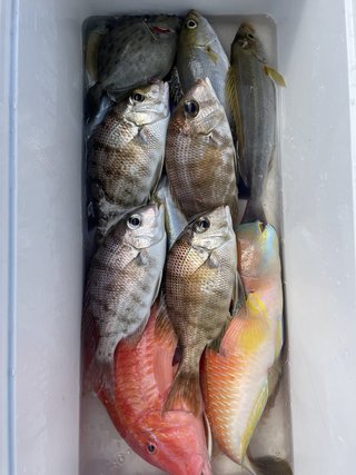 釣果