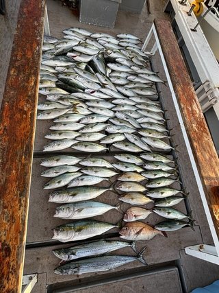 釣果