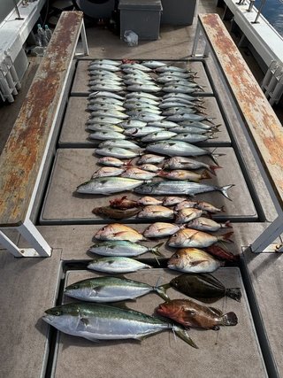 釣果