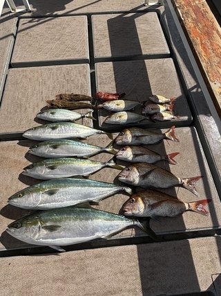 釣果