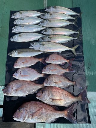 釣果