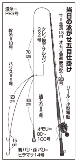 当日の泳がせ五目仕掛け