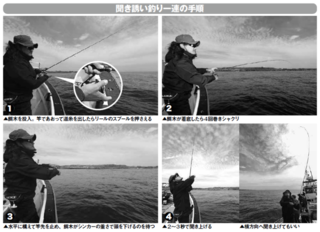 聞き誘い釣り一連の手順
