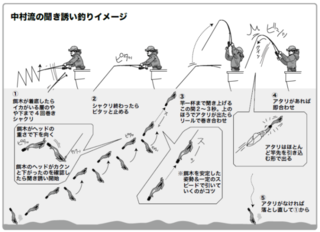 中村流の聞き誘い釣りイメージ