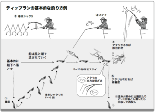 ティップランの基本的な釣り方例
