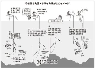 ヤリイカ泳がせで狙え 城ヶ島～剣崎沖のマダイ&青物