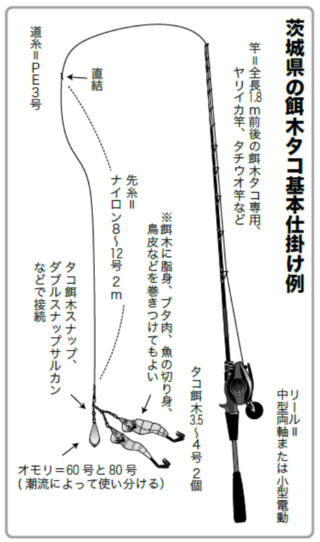 茨城県の餌木タコ基本仕掛け例