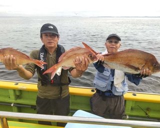 【釣果速報】神奈川県鴨下丸kawanaで3.68kgの特大マダイ出た！次にビッグワンを手にするのはあなたかも？！