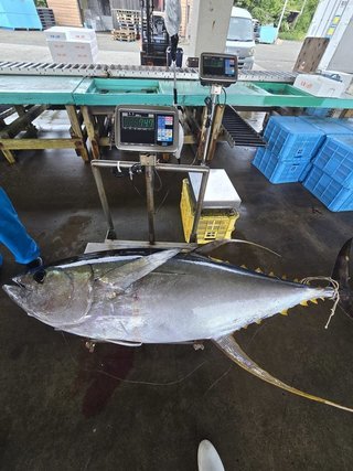 釣果
