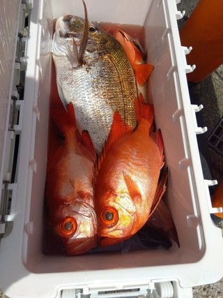 釣果