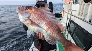 【釣果速報】茨城県弁天丸でマダイ絶好調！今後はますます大鯛の数釣りが楽しめるそうですよ！