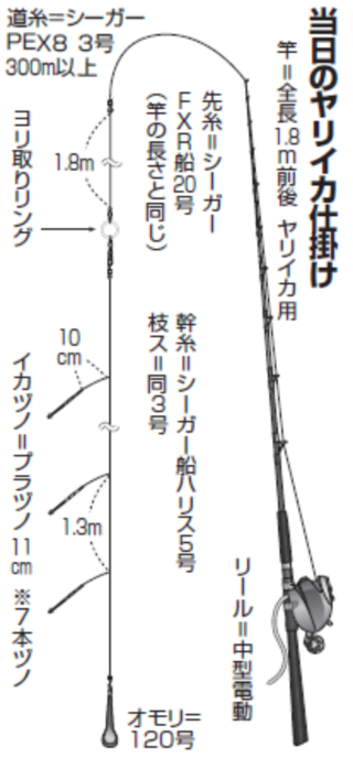 当日のヤリイカ仕掛け