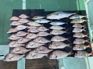 釣果