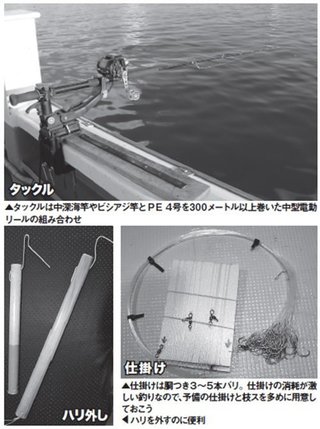 仕掛けなどの写真