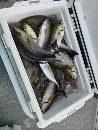 釣果
