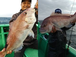 【釣果速報】茨城県長岡丸で4.16kgのマダイHIT！多彩な魚種に出会うなら茨城県長岡丸へ！