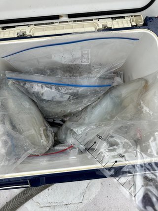 釣果