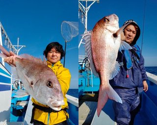 【釣果速報】茨城県清栄丸でマダイ・ハナダイ・トラフグと人気魚種続々ゲット！いろいろな魚との出会いを楽しみたい人は即予約を！