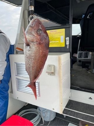 釣果
