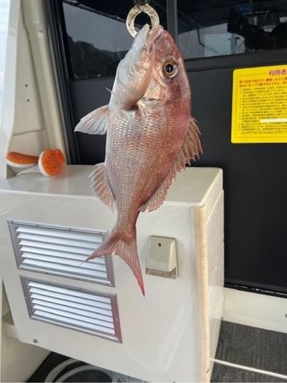釣果