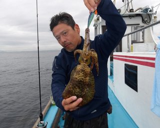 【釣果速報】神奈川県辰丸でイカざんまい！トップはアオリイカ7匹！イカの機嫌が良い今が大漁のチャンス！