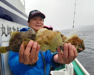 【釣果速報】型狙いのカワハギ釣行で27cmオーバーが続々ヒット！千葉県彦次郎丸であなたも良型をゲットしよう！