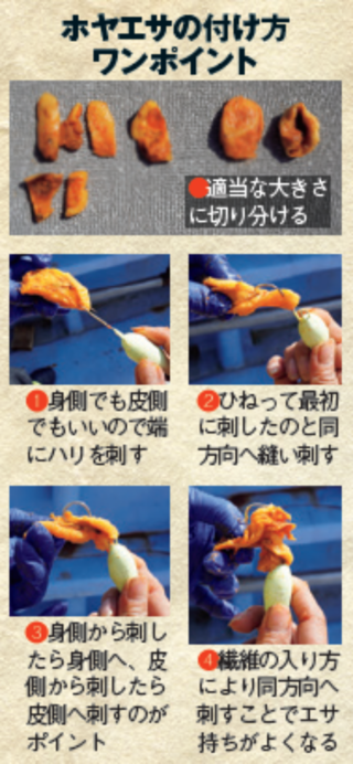 ホヤエサの付け方ワンポイント