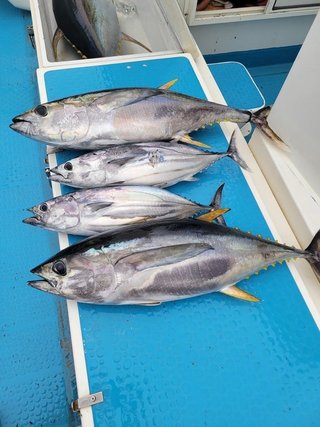釣果