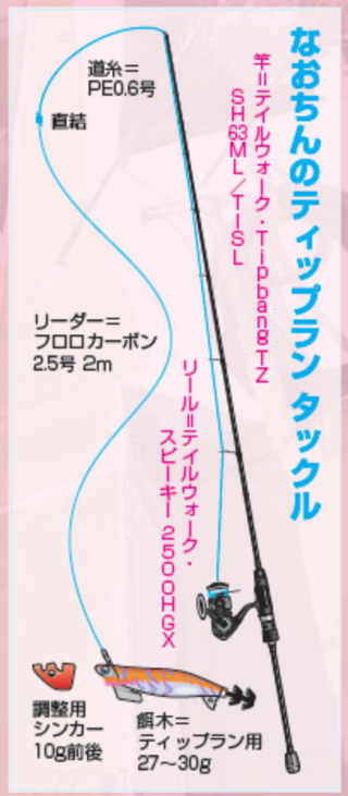 なおちゃんねる（第30回）］ズシンの衝撃が病みつきに！！ティップランエギングが楽しい