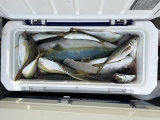 釣果