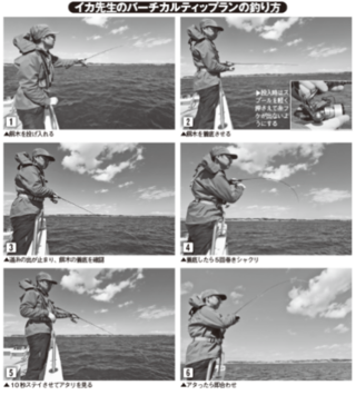 イカ先生のバーチカルティップランの釣り方