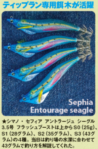 ティップラン専用餌木が活躍