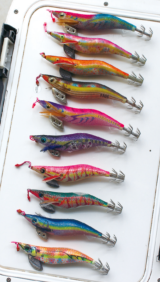 餌木はノーマルタイプ