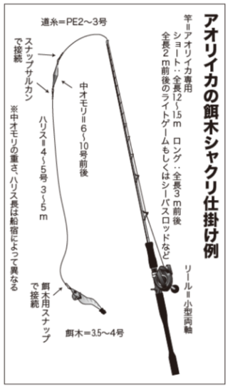 アオリイカの餌木シャクリ仕掛け例